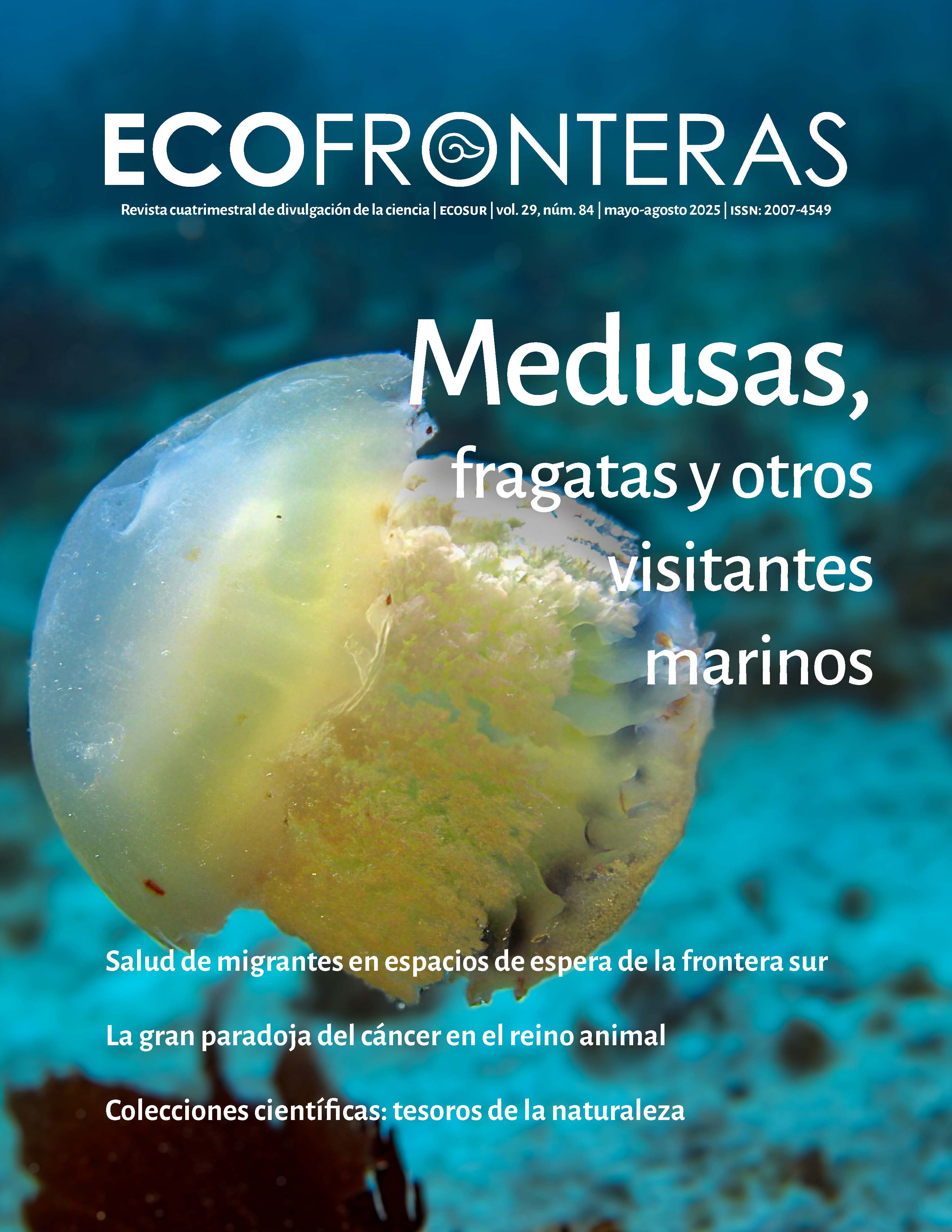 Portada Ecofronteras 84
